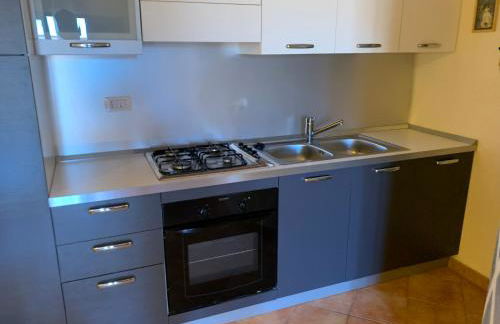 Little sparrow - Foto 2