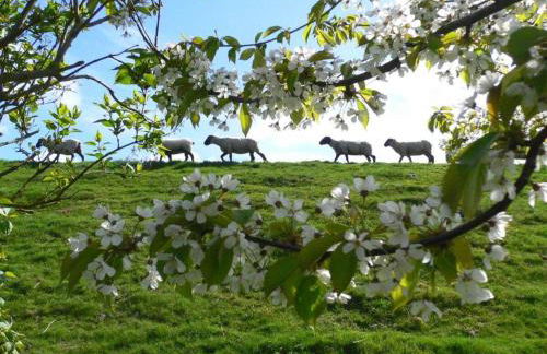 Holiday home with 5 bedrooms - Foto 20