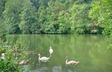 Charmante maison au calme avec terrasse & parking - Foto 19