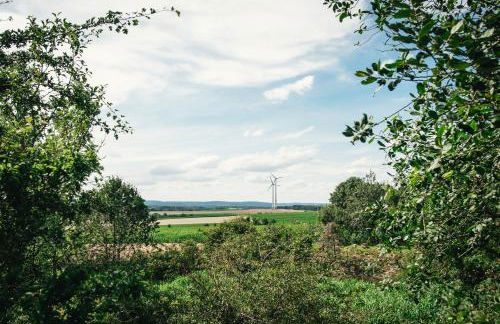 Haus Archaeopteryx – privater Außen-Pool – einzigartig im Naturpark - Foto 14