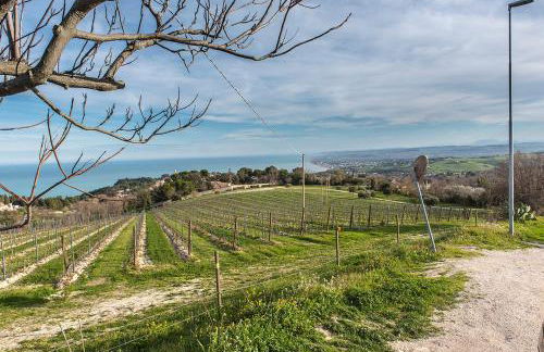 S294 - Sirolo, meraviglioso trilocale con terrazzo e vista mare - Foto 27