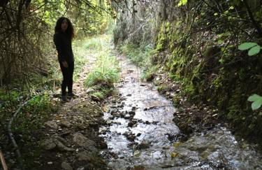 Pilar de la Sima casa rural Arguellite Yeste - Foto 76