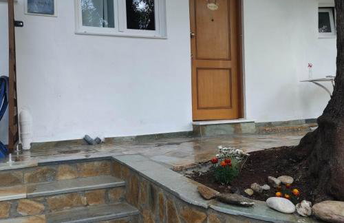 Colors Apartments Pilio - Photo 34