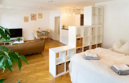 TOP! Gemütliches Studio-Apartment zentral, WLAN, Küche - Foto 12