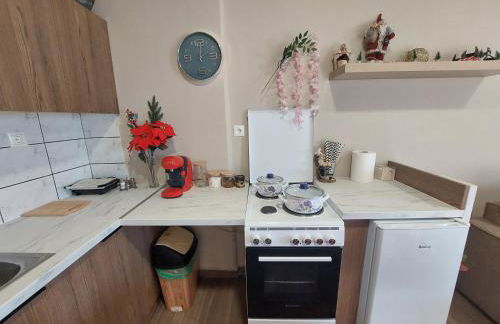 River Studio - Photo 17