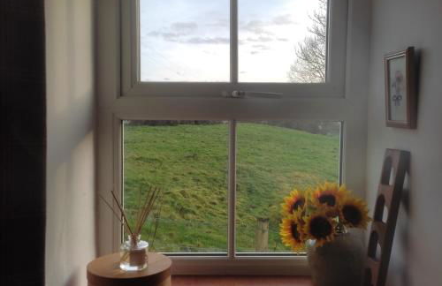 Ardagh Cottage Secluded in Glenshesk near Ballycastle - Foto 25