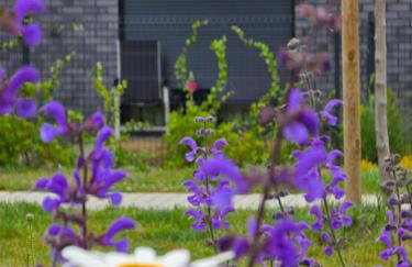 The Lucky Five at Glivia Parking&Garden - Foto 17