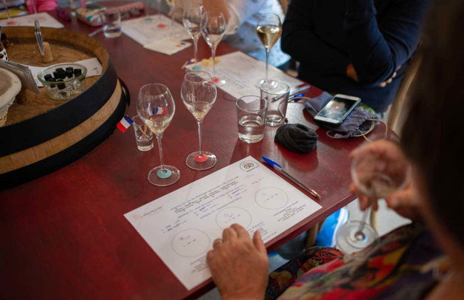 Visite sur le thème du champagne à Épernay, Hautvillers et Mareuil - Photo 7