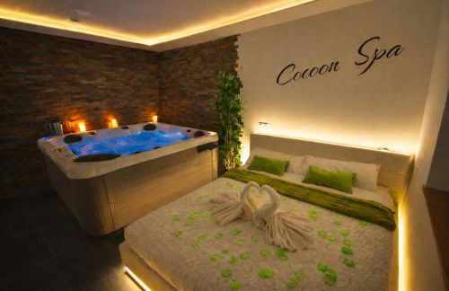 COCOON SPA-4 Pers-Jacuzzi-Parking-Jardin-Clim-Colmar - Foto 22