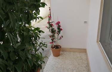 Casa Low Cost - Foto 71