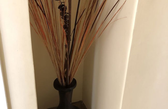 Casa Flores & Flores - Foto 26