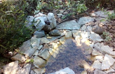 Apartment Tuja - Foto 31