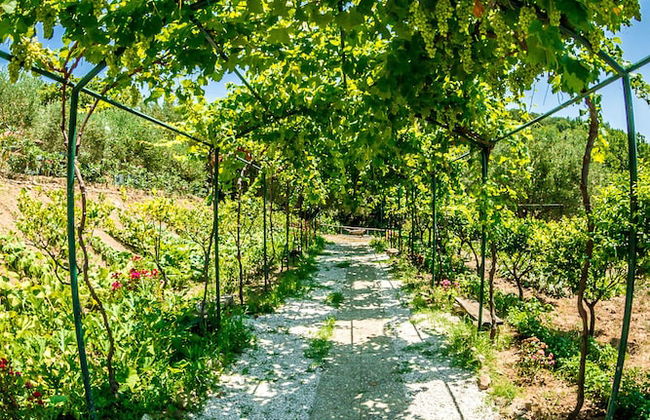 Agriturismo Valle di Marco - Foto 12