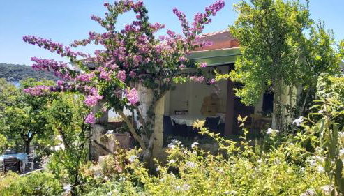 Apartment Maja - Foto 2, Garden