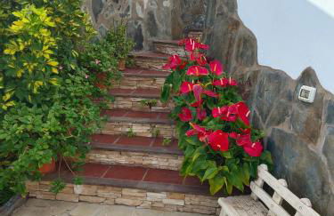 La Barbacoa familiar de Gardel - Foto 24