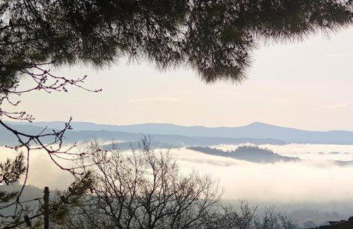 Country House - Casa Raffaella di Michele e Sven - Foto 4