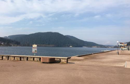 Le Gîte au bord du Lac - Foto 14