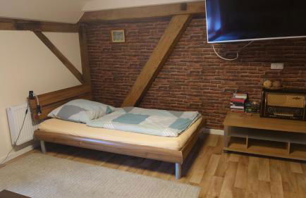 Apartment 5 Zum Kuhstall Heinrichsberg - Magdeburg - Foto 10