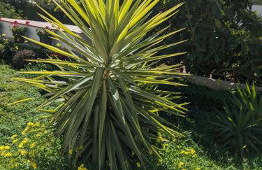 Buen Estar, piscina, barbacoa, jacuzzi en Valencia - Photo 22