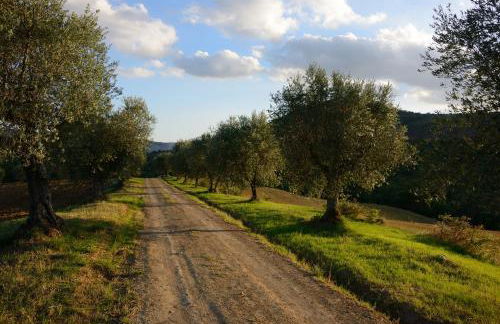 I Casali Di Colle San Paolo - Foto 13
