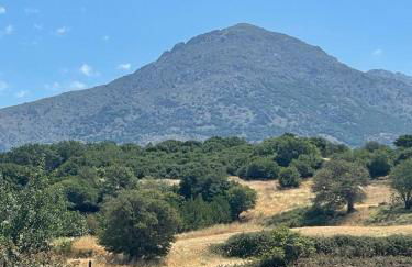 VICTORY SUITES - Foto 29