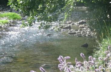 Maison proximité station de ski le lioran - Photo 14