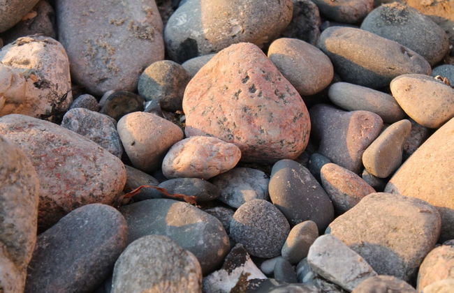 Beautiful Apartment in Robertsdorf With Garden - Foto 39