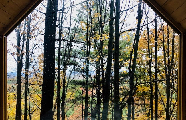 Gather Greene - Foto 2