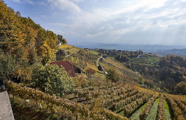 Vineyard cottage Ucman - Foto 14