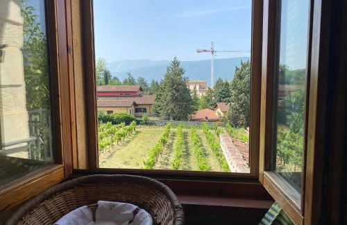 Orchidea Retreat - View of Mountains & Vines - Foto 22