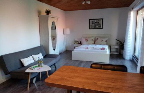 Schöne EinZimmer Wohnung Zwischen Bodensee und Allgäu - Foto 23