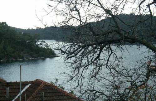Apartments by the sea Babine Kuce, Mljet - 610 - Photo 16