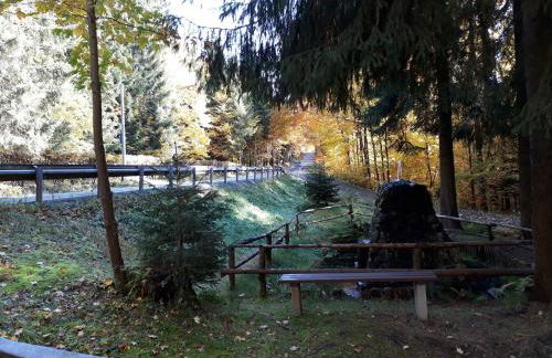 Cozy Ski Base With Garden - Foto 85