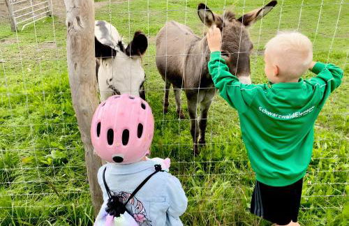 Ferienwohnung Lea La Milan - Foto 28