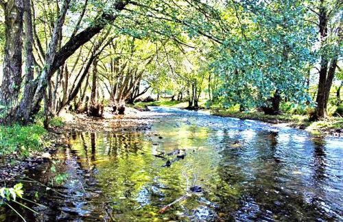 Casa Rural Los Olmos - Foto 26
