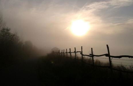 Ferienwohnung Markt 7 - Foto 21