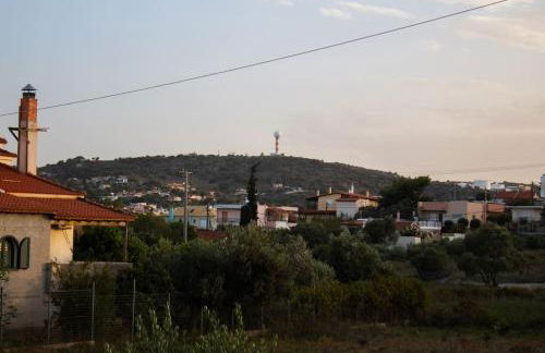 Ariadnis Spacious 3Bd home, 10 mins to Airport, Port, Beach - Foto 50