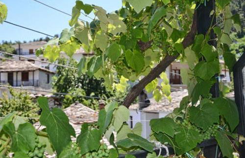 Hotel Theo - Foto 21