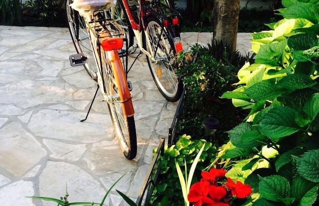 Apartments Matkovic - Foto 4