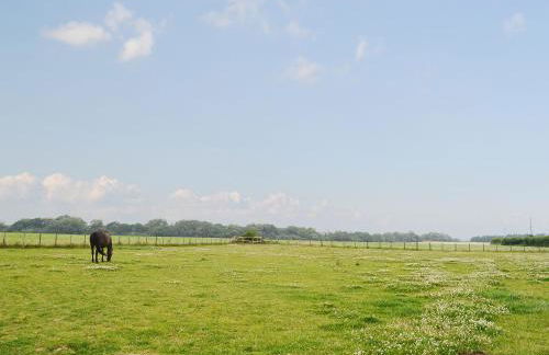 Horseshoe Cottage - Foto 16