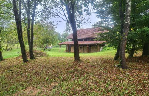 Šumski san - Foto 7