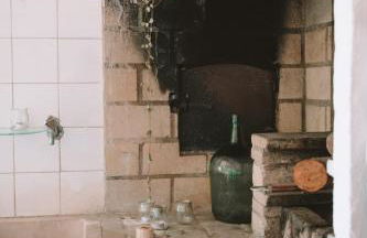 João Jungle - Foto 66