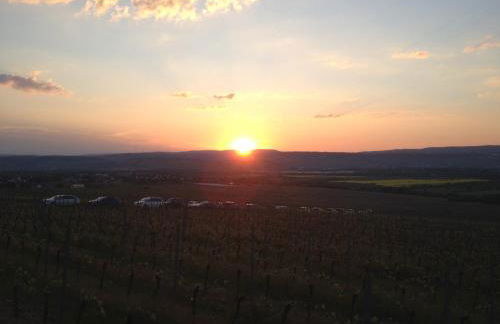 Ferienwohnungen In de goldisch Luft - Foto 75