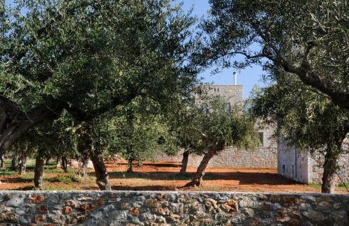 Nikoloudi Estate - Foto 10