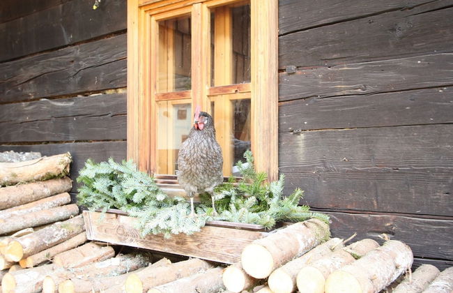 Sprawling Mansion near Ski Area in Salzburg - Foto 19