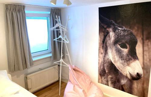 LA PETITE MAISON Fachwerkhaus am Rande des Sauerlandes in Warburg - Foto 22