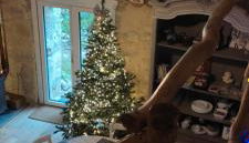 Gîte Ô Nature - Foto 3