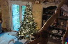 Gîte Ô Nature - Foto 3