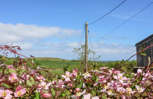 Wayside Farm Cart Cottage - Foto 26