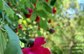 Chata Górska Sowa, Cały Dom tylko dla Was - Foto 7